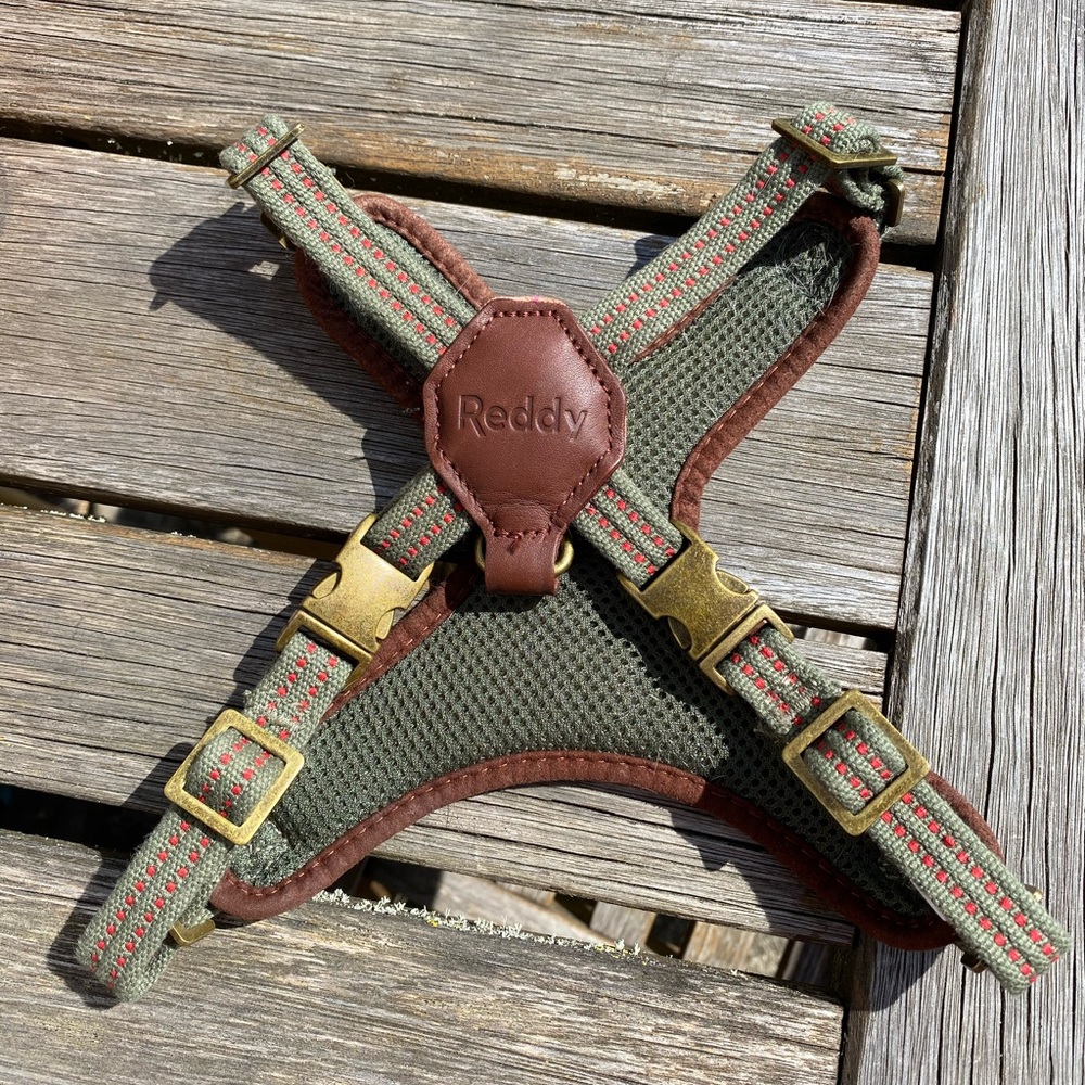 Reddy Dog Harness S/M